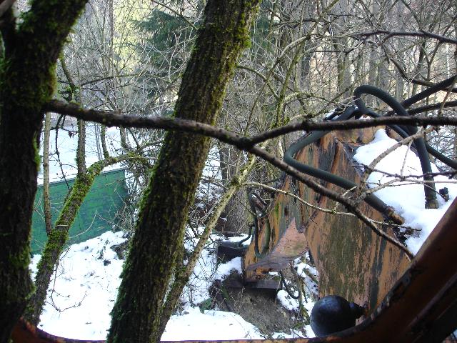 pferde 814.jpg