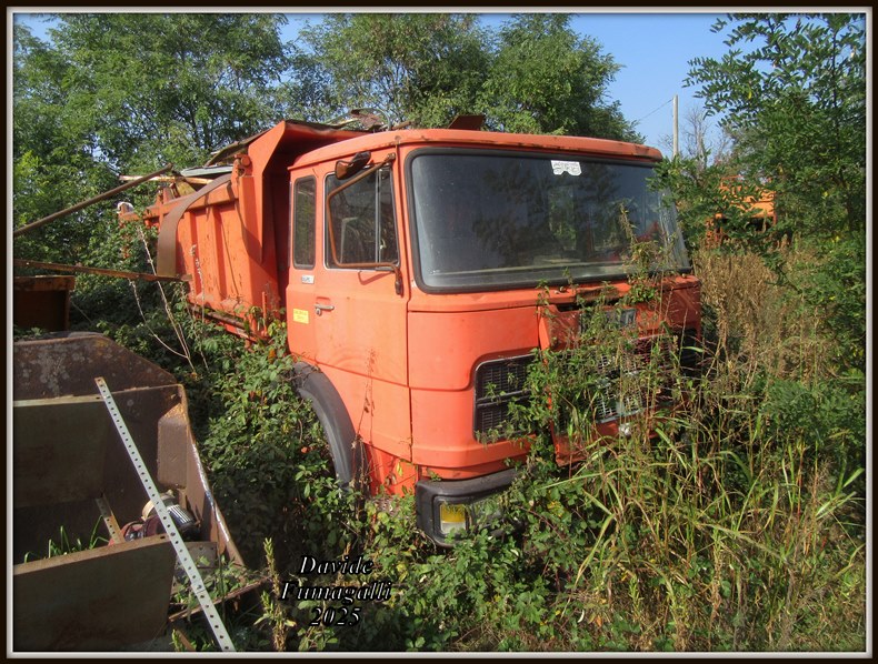 Fiat 300PC Cavallon.jpg