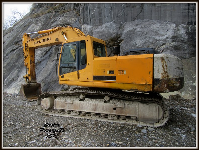 Hyundai Robex 290NLC-7 Fornoni Ardesio (1).jpg