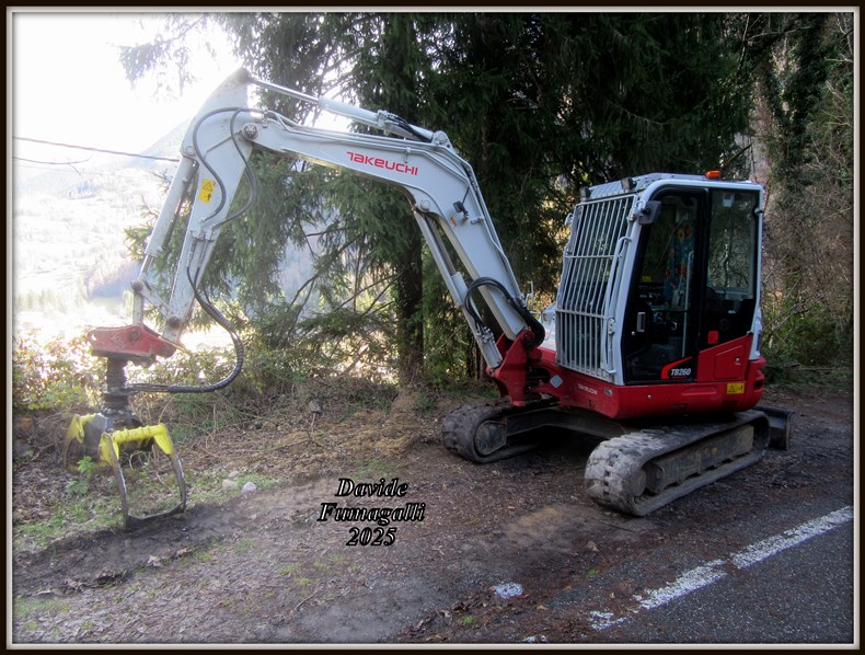 Takeuchi TB260 Alto Serio 001.jpg