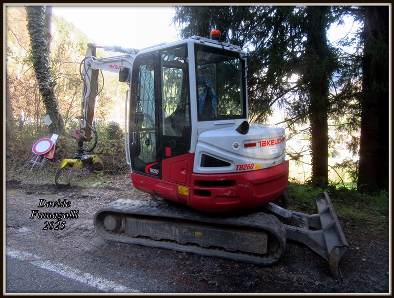 Takeuchi TB260 Alto Serio 002.jpg