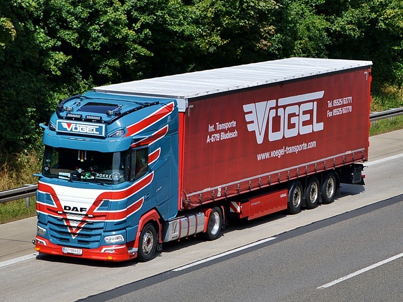 V&Ouml;GEL, BZ 864EZ, A 0027.jpg