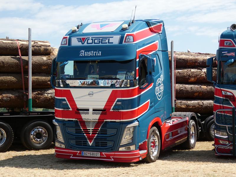 Volvo FH 500 E6 Spedition V&ouml;gel 12 (Copy).jpg