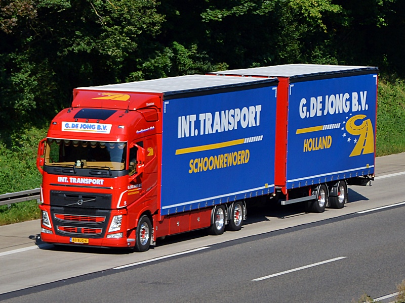 de Jong, Schoonrewoerd, 83-BJG-6, NL 0215.jpg