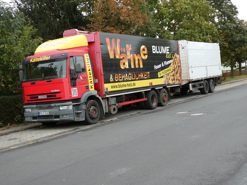 Iveco EuroTech Holz Blume 1 (Copy).jpg