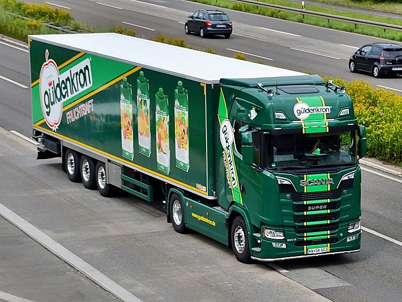 G&uuml;ldenkron, WW-GK 603 0074.jpg