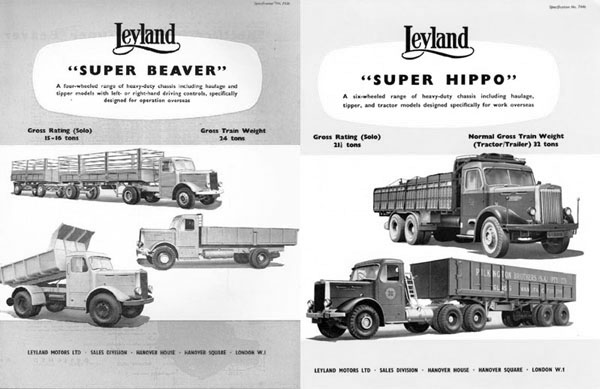 Super Beaver - Super Hippo.jpg