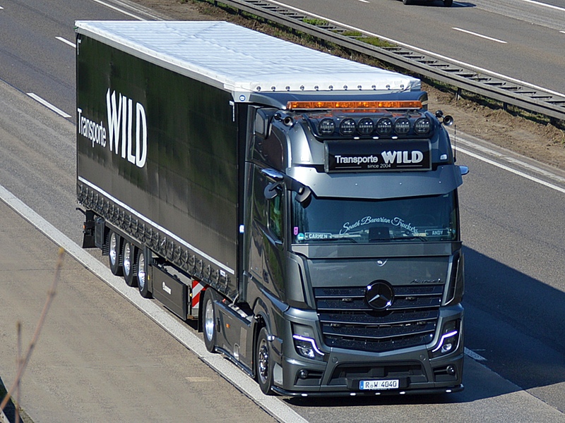 WILD, R-W 4040 0119.jpg