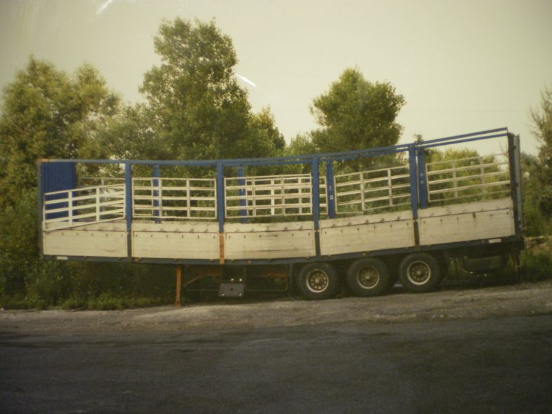 IMGP0078.jpg