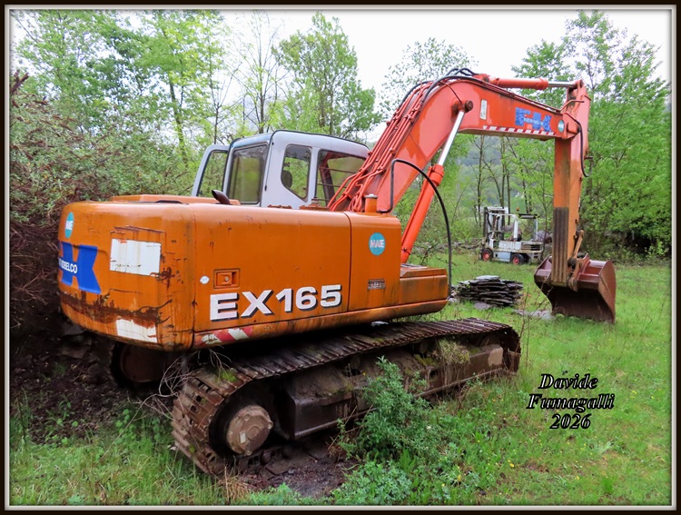 Fiat Hitachi EX165 014.jpg