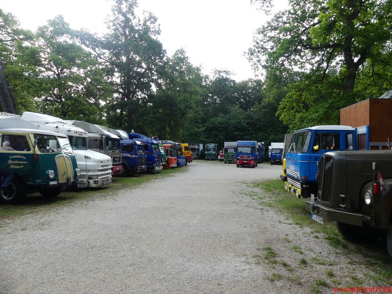 P1100056.jpg