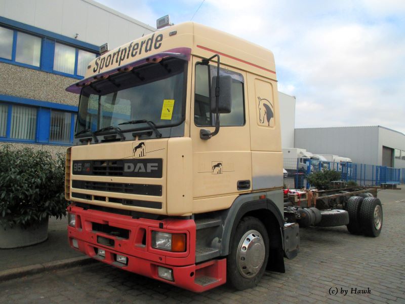 DAF 95.360 ATi (ex D)x.jpg