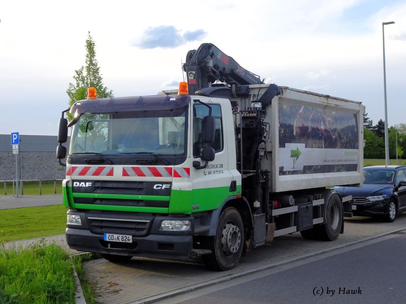 DAF CF 75.250 - Kahlschlagx.jpg