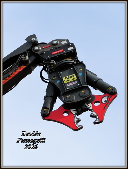 077.jpg
