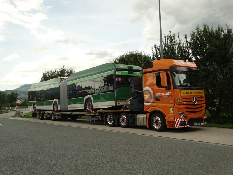 comp_DSC00558 - Kopie.jpg