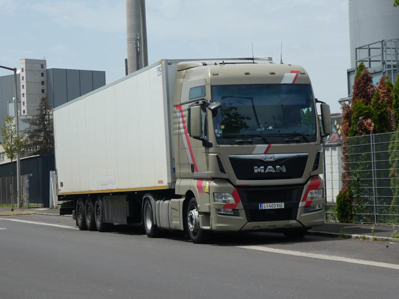 MAN TGX 18.460 E 6 SZM Grau 20 (Copy).jpg