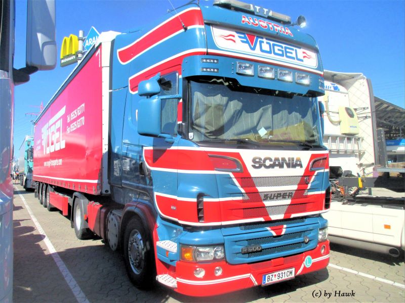 Scania R 500 - V&ouml;gel (A) (2)x.jpg