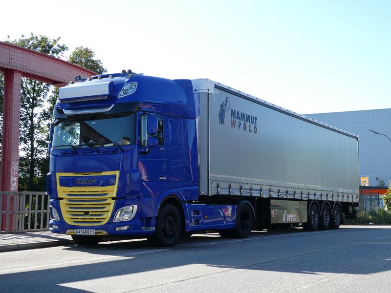 DAF XF 530 Iran Blau-Gelb 1 (Copy).jpg