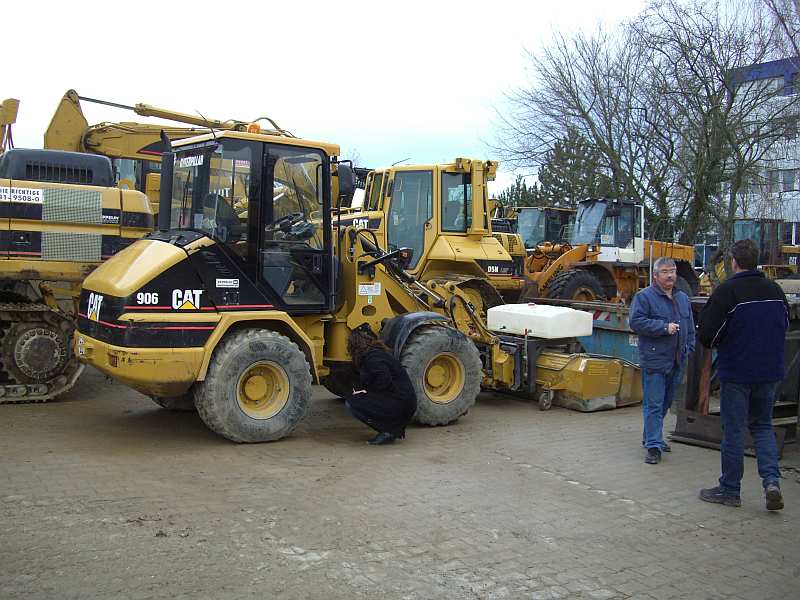 cat906.jpg