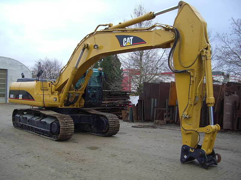 cat330.jpg