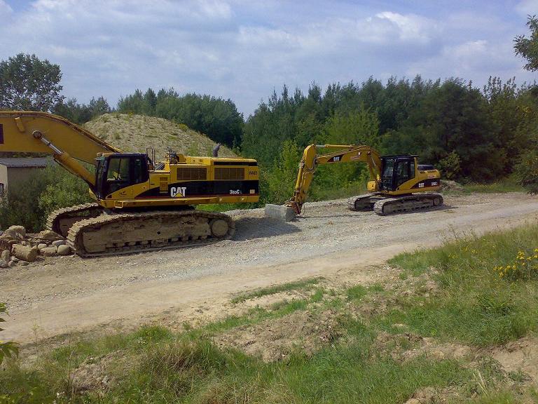 cat385318.jpg