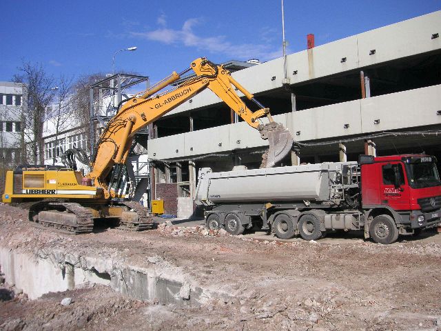 alca10.jpg