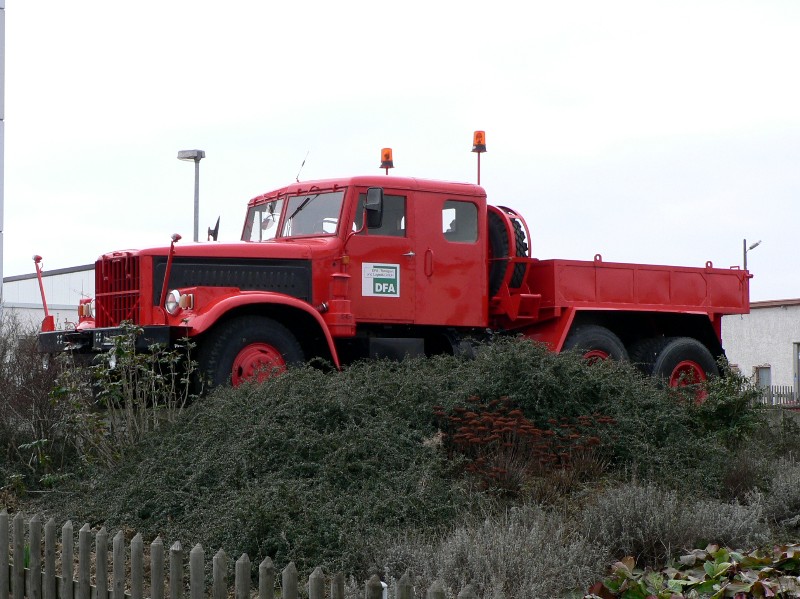 P1050047.jpg