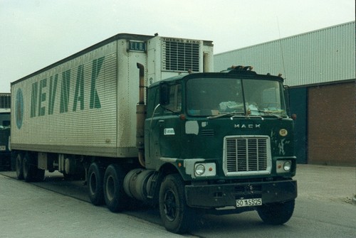 tr556.jpg