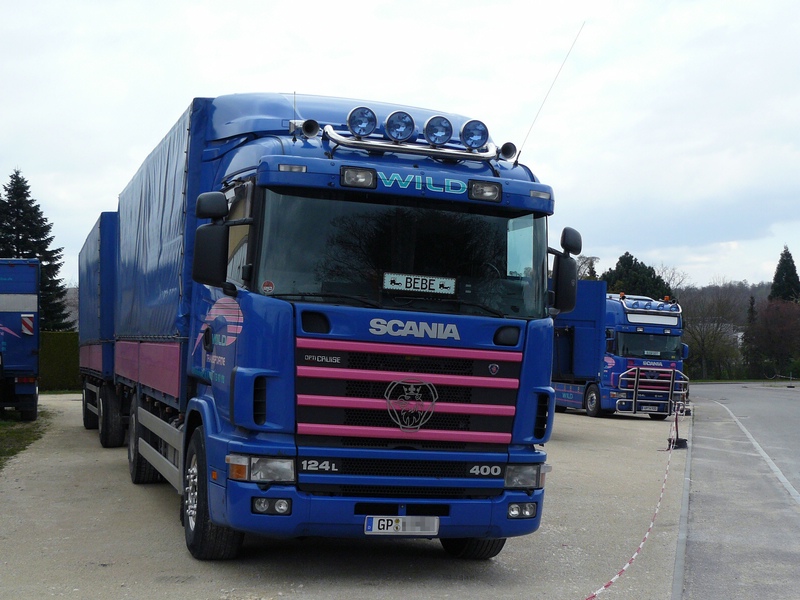 wild_scania_1.jpg
