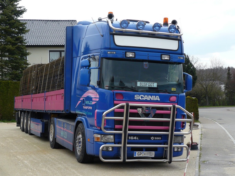 wild_scania_2.jpg