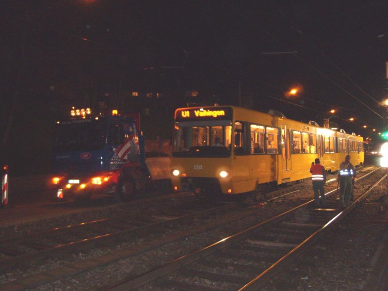 SL730003.jpg