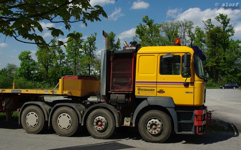 wiesbauer_man_41-603_1.jpg