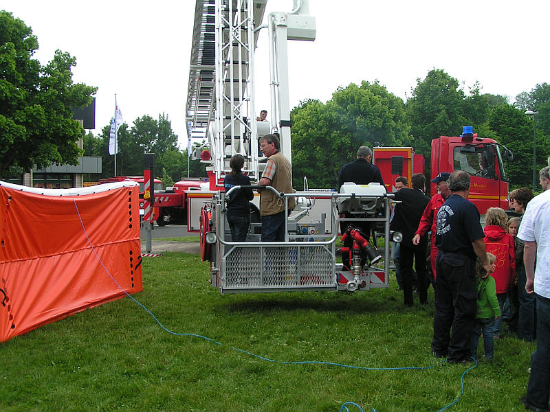 DFM 08_09a.jpg