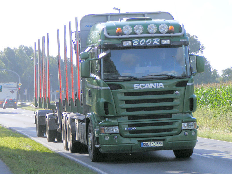 Holz1.jpg