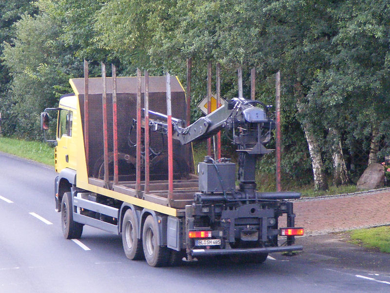 Holz3.jpg