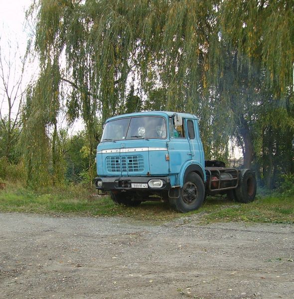 PICT0001_edited [800x600].jpg