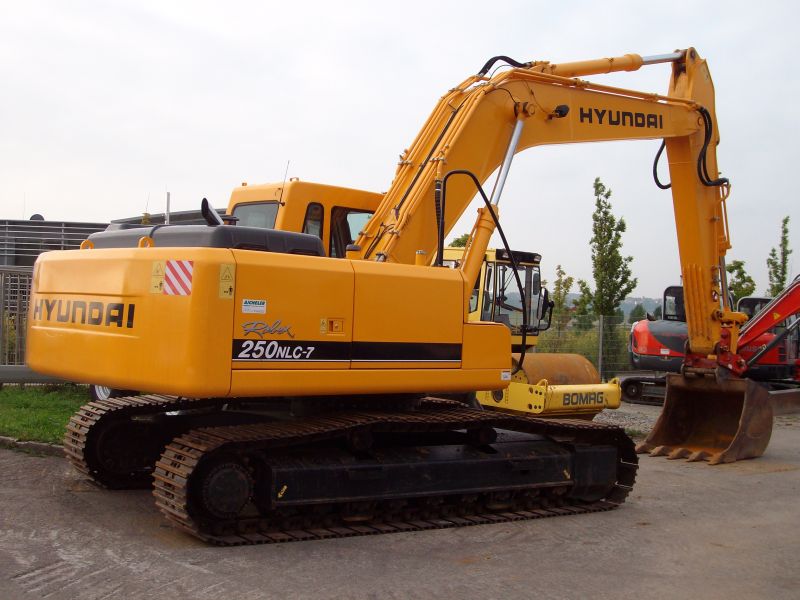 SANY0569.jpg