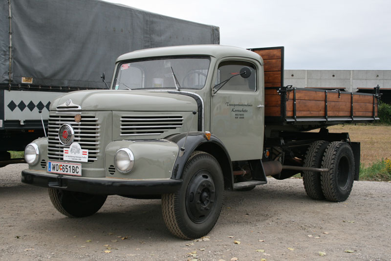 steyr1.jpg
