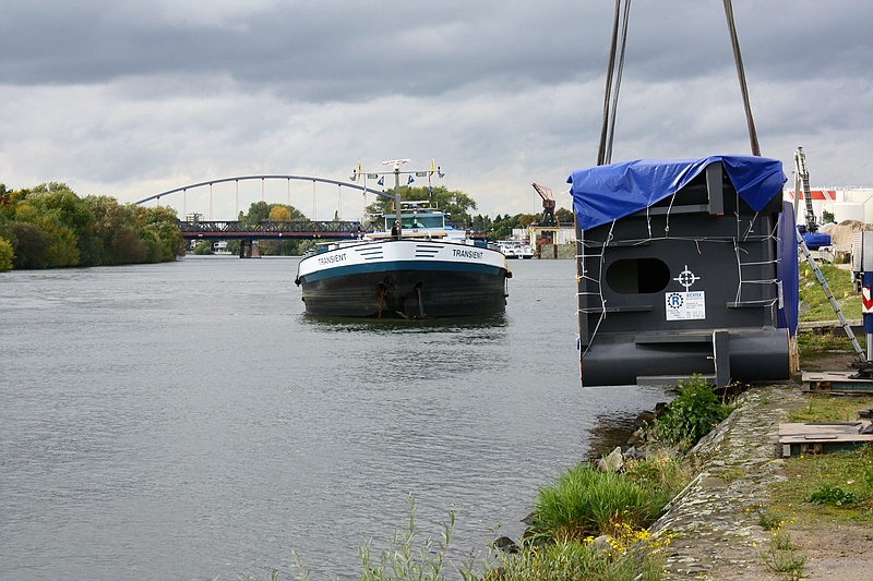 IMG_6734.jpg