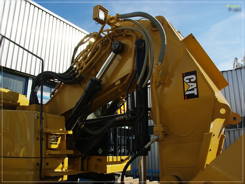 cat_328d_2.jpg