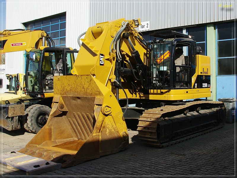 cat_328d_3.jpg