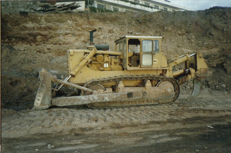 D9H Cat.jpg