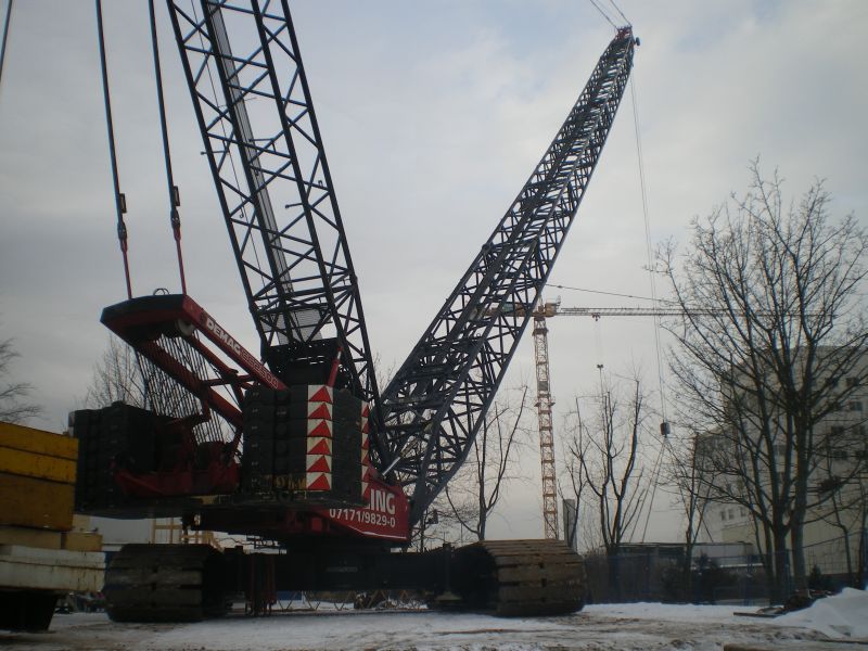 IMGP3974.jpg