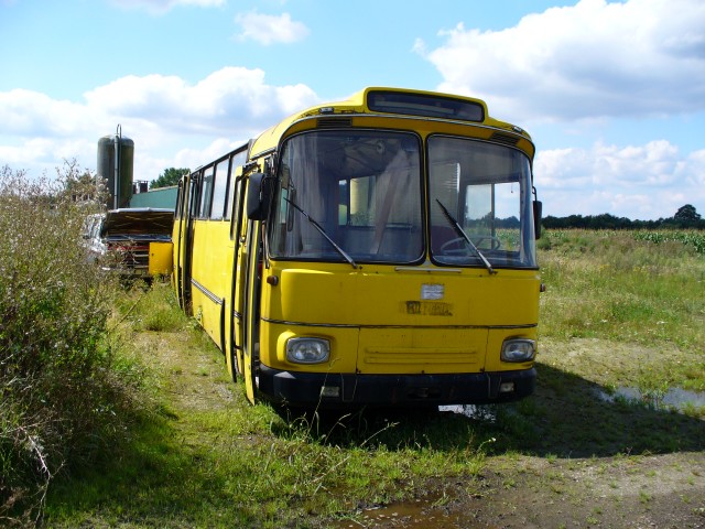 Bus_02.jpg