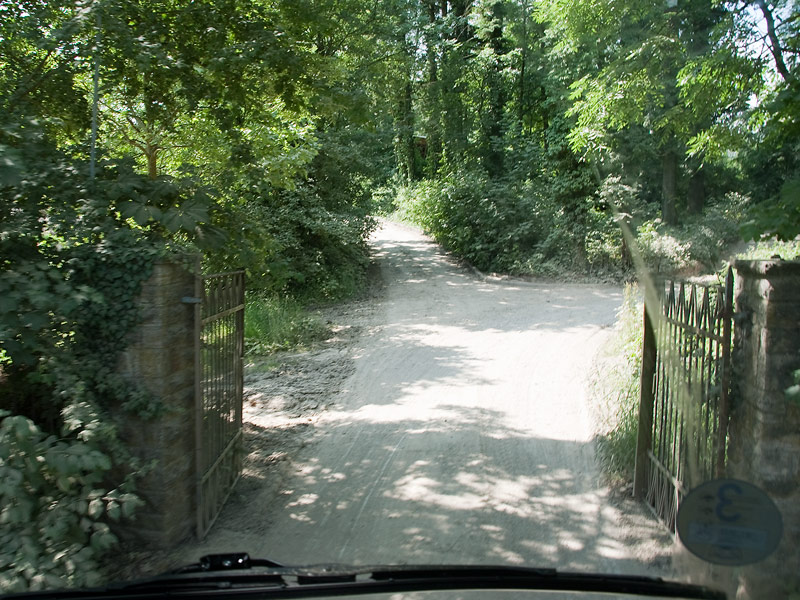 _IGP8961.jpg