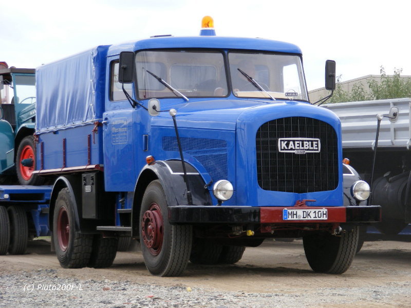 DSCF4063.jpg