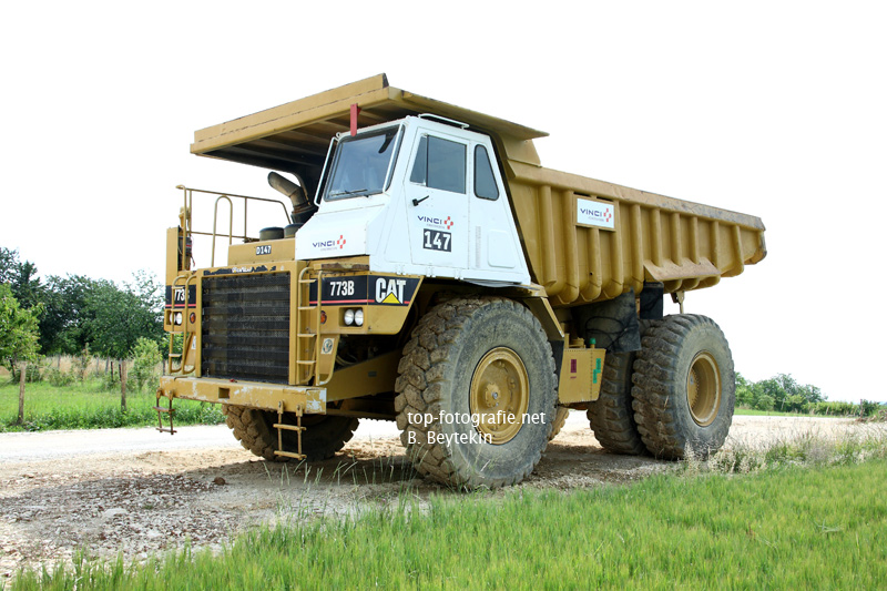 Vinci_Cat-773B_147_2.jpg