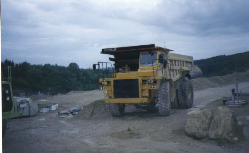 Cat773B.jpg