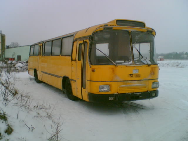 Bus_01.jpg
