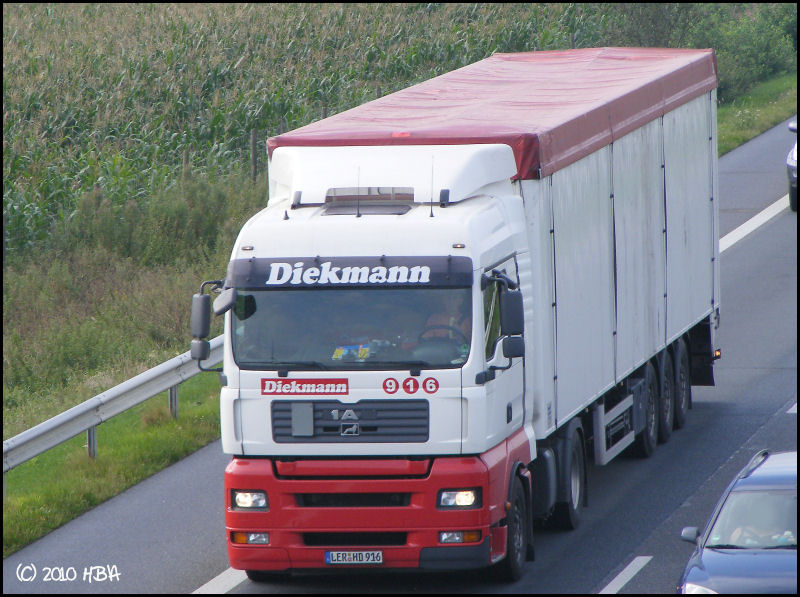 DM13.jpg